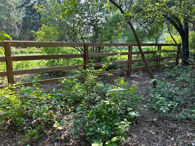 Three-rail wood post-and-rail fence running along a wooded garden property in Saskatoon